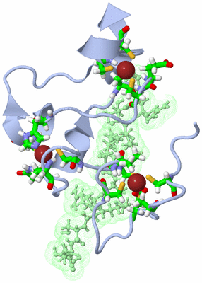 Image NMR Structure - model 1, sites