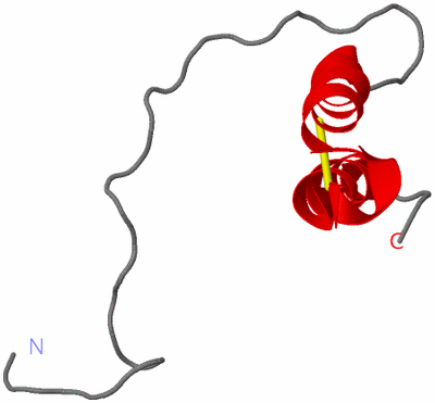 Image NMR Structure - model 1