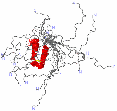 Image NMR Structure - all models