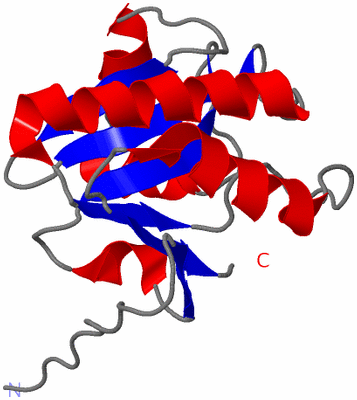 Image NMR Structure - model 1