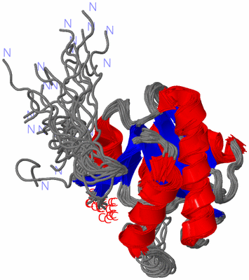 Image NMR Structure - all models