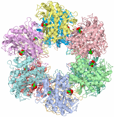 Image Asym./Biol. Unit