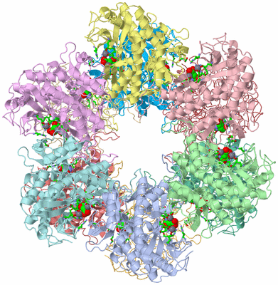 Image Asym./Biol. Unit - sites