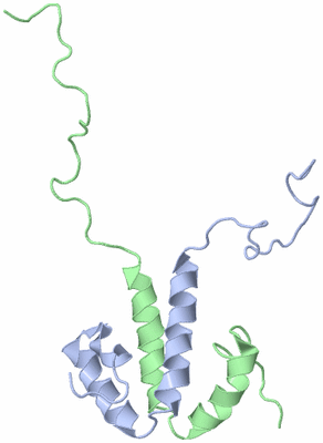 Image NMR Structure - model 1