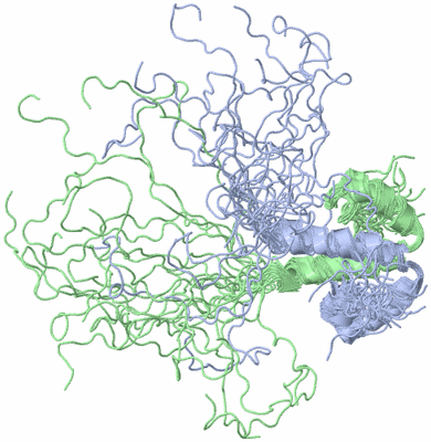 Image NMR Structure - all models