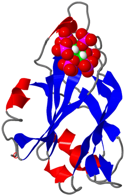 Image NMR Structure - model 1