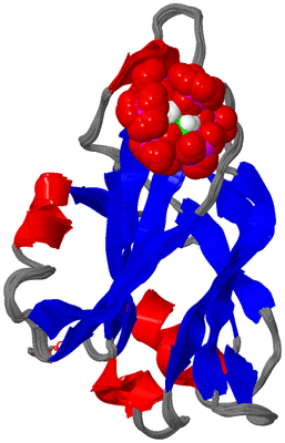 Image NMR Structure - all models