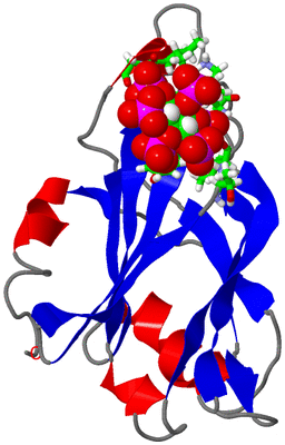 Image NMR Structure - model 1, sites