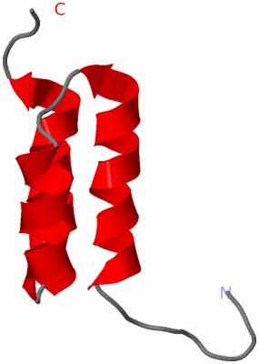 Image NMR Structure - model 1