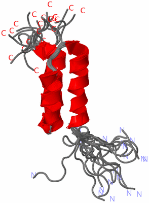 Image NMR Structure - all models