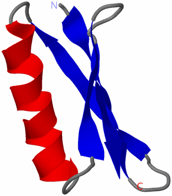 Image NMR Structure - model 1