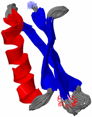 Image NMR Structure - all models