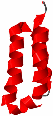 Image NMR Structure - model 1