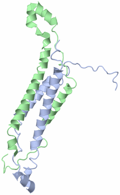 Image NMR Structure - model 1