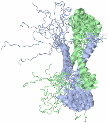 Image NMR Structure - all models