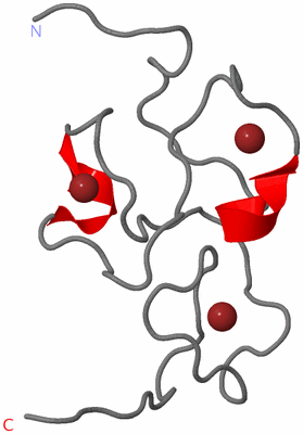 Image NMR Structure - model 1