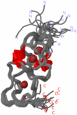 Image NMR Structure - all models