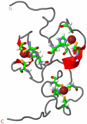 Image NMR Structure - model 1, sites