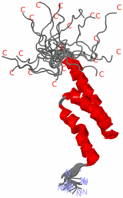 Image NMR Structure - all models