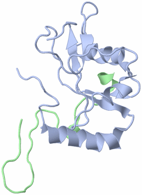 Image NMR Structure - model 1