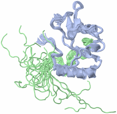 Image NMR Structure - all models