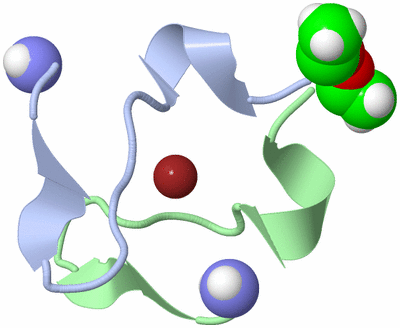 Image NMR Structure - model 1