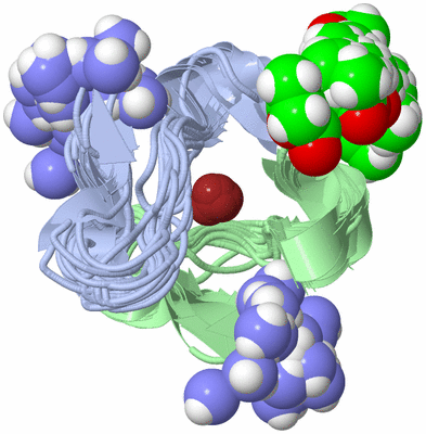 Image NMR Structure - all models