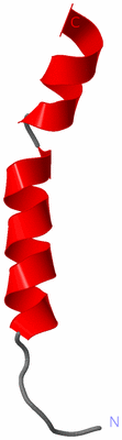 Image NMR Structure - model 1