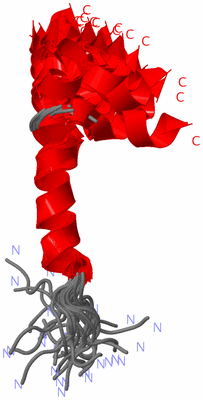 Image NMR Structure - all models