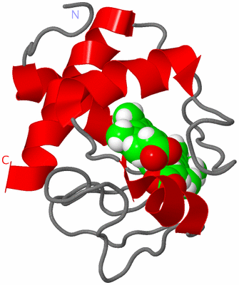 Image NMR Structure - model 1