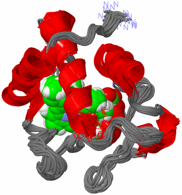 Image NMR Structure - all models