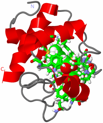 Image NMR Structure - model 1, sites