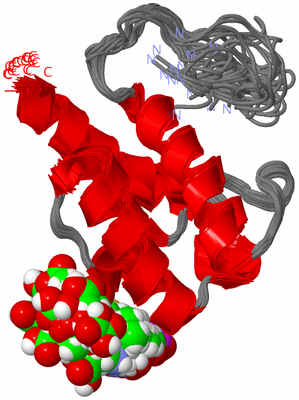 Image NMR Structure - all models