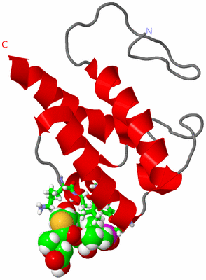 Image NMR Structure - model 1, sites