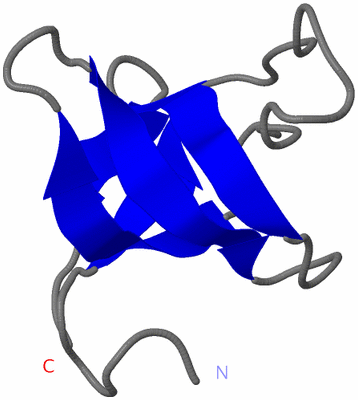 Image NMR Structure - model 1