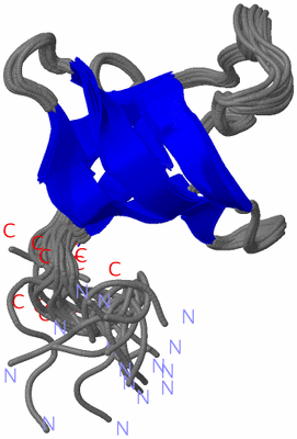 Image NMR Structure - all models