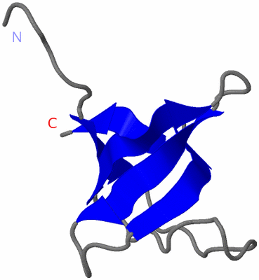 Image NMR Structure - model 1