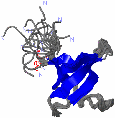 Image NMR Structure - all models