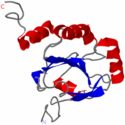 Image NMR Structure - model 1