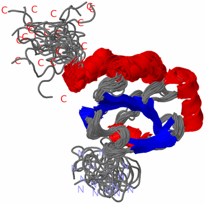 Image NMR Structure - all models