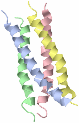 Image NMR Structure - model 1