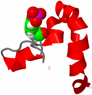 Image NMR Structure - model 1