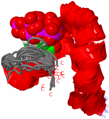 Image NMR Structure - all models