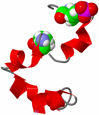 Image NMR Structure - model 1