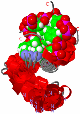 Image NMR Structure - all models