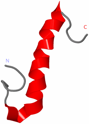 Image NMR Structure - model 1