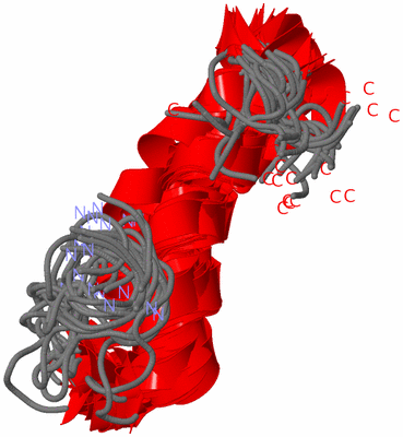 Image NMR Structure - all models