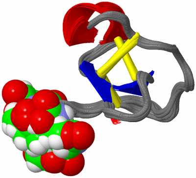 Image NMR Structure - all models