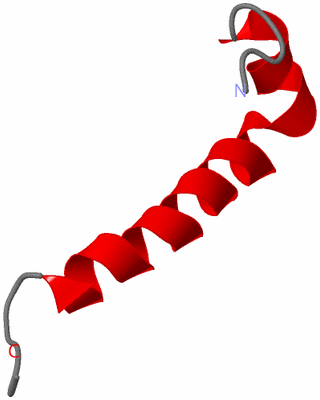 Image NMR Structure - model 1