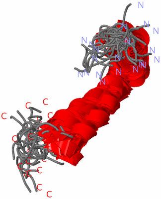 Image NMR Structure - all models